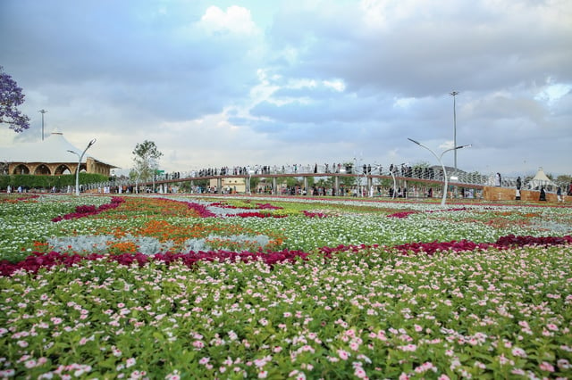 Blooming Success: Taif Rose Festival ‘Qetaf 19’ Blossoms Beyond Expectations!